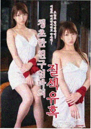 夏日重建计划电视动画封面